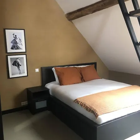 Hoeve Vierhuyse Апартаменты *