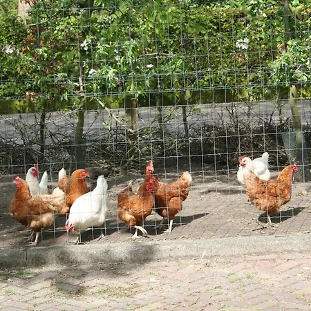 Hoeve Vierhuyse Акерслот