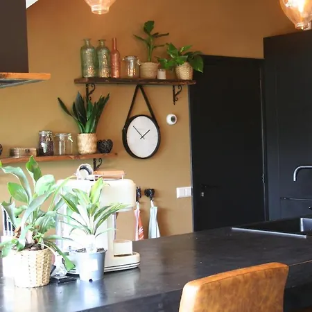 Апартаменты Hoeve Vierhuyse