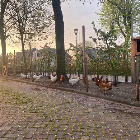 Апартаменты Hoeve Vierhuyse *